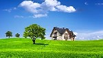 -межевание земельных участков, 
-помощь в получении разрешения на строительство и (или) реконструкцию объектов недвижимости;
-помощь в регистрации права собственности на объекты недвижимости;
-любы ...