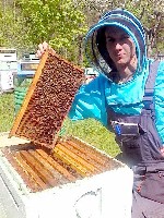 Продукты питания объявление но. 1035558: Натуральный мед с собственной пасеки