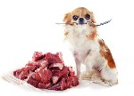 Разное объявление но. 1049801: Мясо для животных с доставкой от 1000р