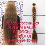 Салоны красоты объявление но. 1141386: Скупка волос в Волгограде!