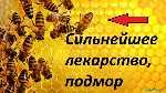Продукты питания объявление но. 1317025: Пчелинный подмор. Настоянный т. 8 902 755 3423