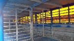 Продам полуприцеп скотовоз SCHMITZ: цельнометаллический, стальной, двухэтажный для перевозки животных. Простая, удобная и очень прочная конструкция.
Полуприцепы есть в наличии. Полуприцепы находятся  ...