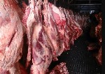 Продукты питания объявление но. 1998672: Мясо-говядина порода СИММЕНТАЛЬСКАЯ в полутушах