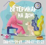 Услуги ветеринара объявление но. 2168006: Ветеринар на дом в Харькове