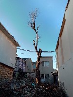 Спиливание деревьев любой сложности по всей Одессе и многим пригородам.  
Работаем с гарантией аккуратности от повреждений крыш,  проводов,  ценных растений под деревом и другого имущества.  Наш опыт ...