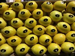 Продукты питания объявление но. 716951: продаем лимон из Испании