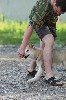Общий курс дрессировки собак и воспитание щенков в Екатеринбурге. Зоотакси ...
