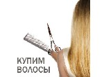 Салоны красоты объявление но. 946153: Покупаем волосы в Екатеринбурге! Дороже всех!